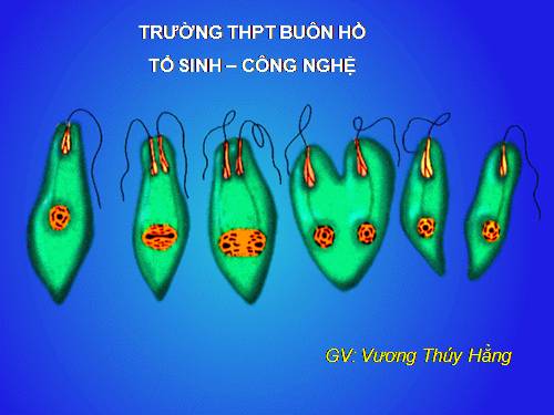 Bài 44. Sinh sản vô tính ở động vật