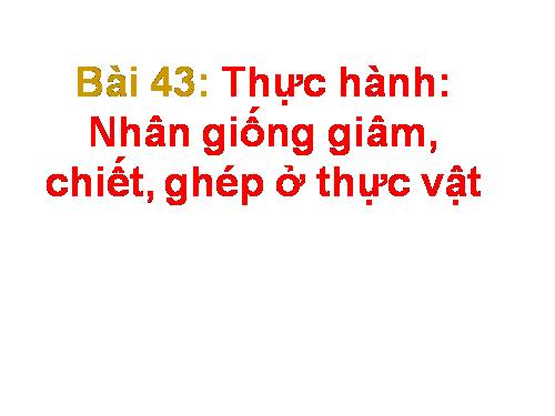 Bài 43. Thực hành: Nhân giống vô tính ở thực vật bằng giấm, chiết, ghép