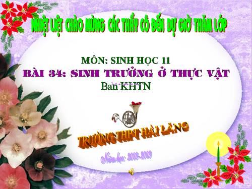 Bài 34. Sinh trưởng ở thực vật