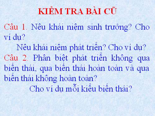 Bài 38. Các nhân tố ảnh hưởng đến sinh trưởng và phát triển ở động vật