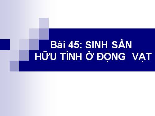 Bài 45. Sinh sản hữu tính ở động vật