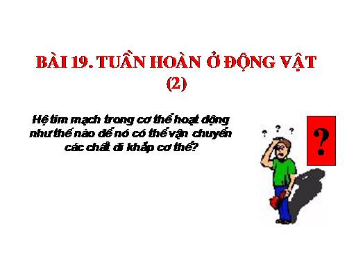 Bài 19. Tuần hoàn máu (tiếp theo)