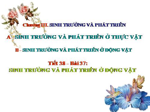 Bài 37. Sinh trưởng và phát triển ở động vật