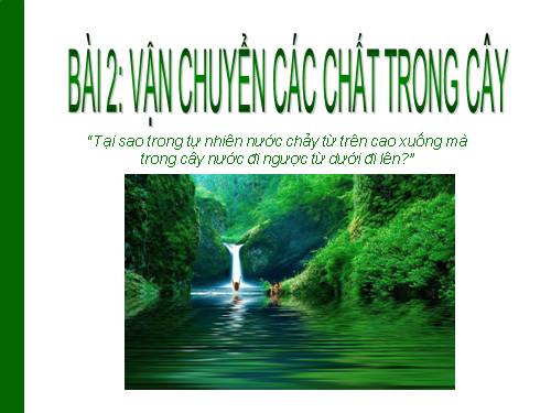 Bài 2. Vận chuyển các chất trong cây