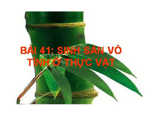 Bài 41. Sinh sản vô tính ở thực vật