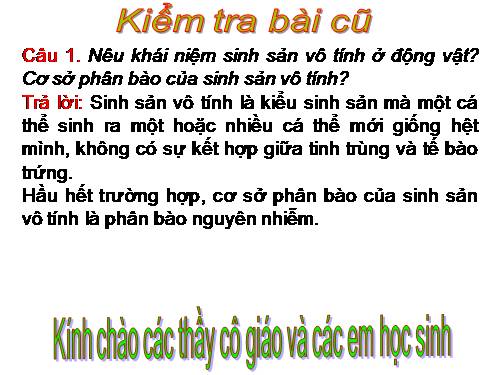 Bài 45. Sinh sản hữu tính ở động vật