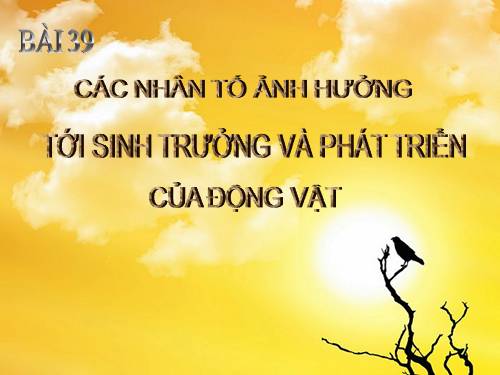 Bài 39. Các nhân tố ảnh hưởng đến sinh trưởng và phát triển ở động vật (tiếp theo)