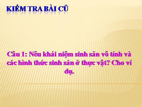 Bài 42. Sinh sản hữu tính ở thực vật