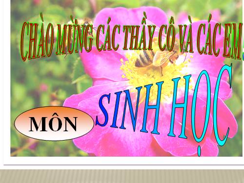 Bài 41. Sinh sản vô tính ở thực vật