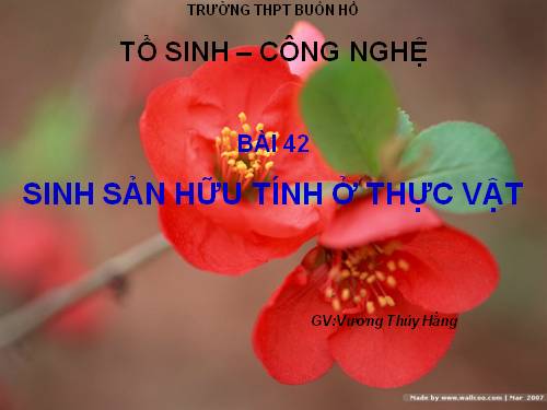 Bài 42. Sinh sản hữu tính ở thực vật