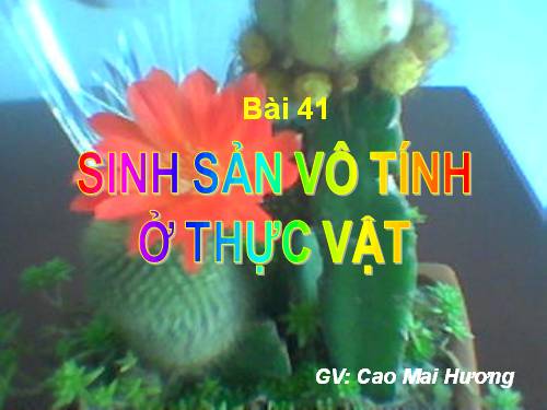 Bài 41. Sinh sản vô tính ở thực vật