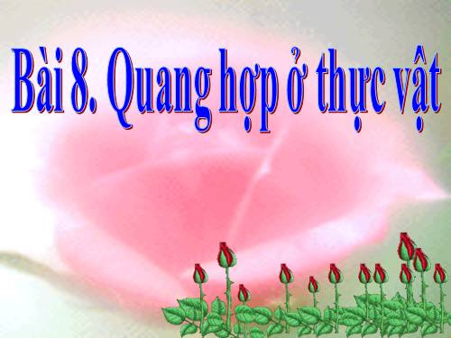 Bài 8. Quang hợp ở thực vật