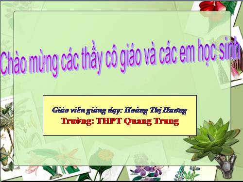 Bài 41. Sinh sản vô tính ở thực vật