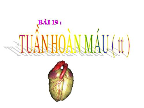 Bài 19. Tuần hoàn máu (tiếp theo)