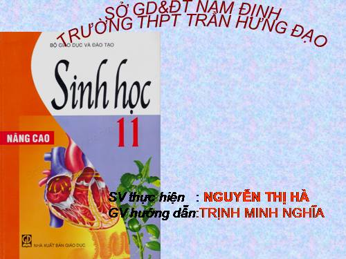 Bài 38. Các nhân tố ảnh hưởng đến sinh trưởng và phát triển ở động vật