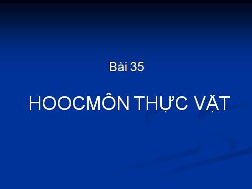 Bài 35. Hoocmôn thực vật