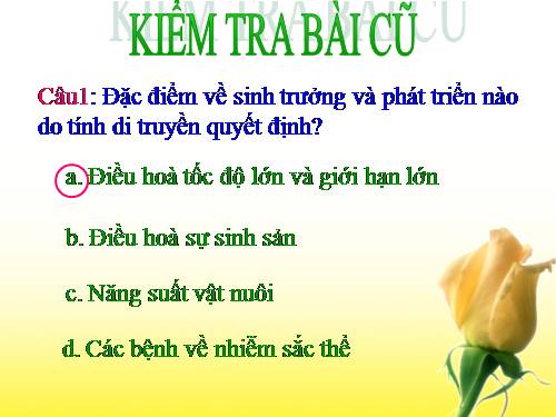 Bài 39. Các nhân tố ảnh hưởng đến sinh trưởng và phát triển ở động vật (tiếp theo)