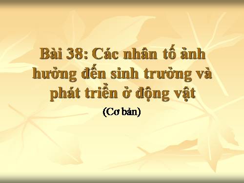 Bài 38. Các nhân tố ảnh hưởng đến sinh trưởng và phát triển ở động vật