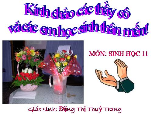 Bài 42. Sinh sản hữu tính ở thực vật