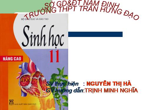 bài 37.sịnh vật trưởng và phát triển ở đông