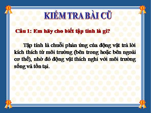 Bài 32. Tập tính của động vật (tiếp theo)