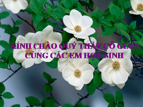 Bài 31. Tập tính của động vật