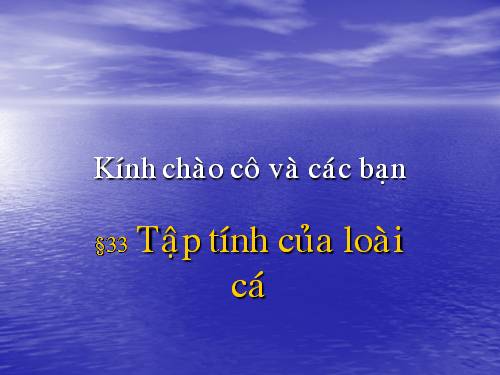 một sô tap tính cua loai ca