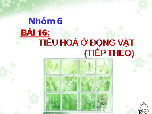 Bài 16. Tiêu hoá ở động vật (tiếp theo)