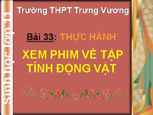 Bài 33. Thực hành: Xem phim về tập tính của động vật