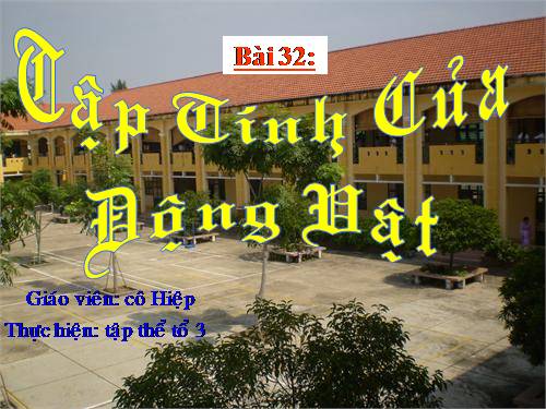 Bài 32. Tập tính của động vật (tiếp theo)