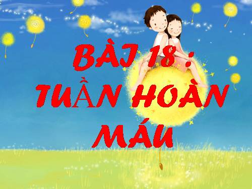 Bài 18. Tuần hoàn máu