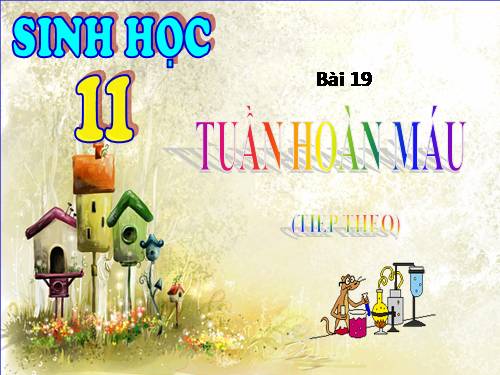 Bài 19. Tuần hoàn máu (tiếp theo)