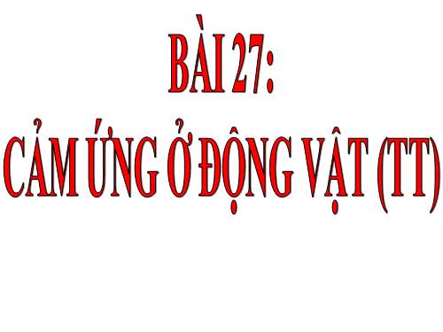 Bài 27. Cảm ứng ở động vật (tiếp theo)