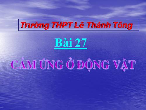 Bài 27. Cảm ứng ở động vật (tiếp theo)