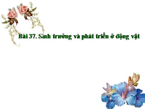 Bài 37. Sinh trưởng và phát triển ở động vật