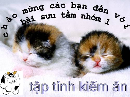 Bài 31. Tập tính của động vật