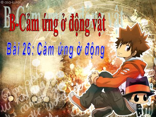 Bài 26. Cảm ứng ở động vật