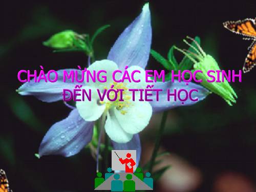 Bài 17. Hô hấp ở động vật