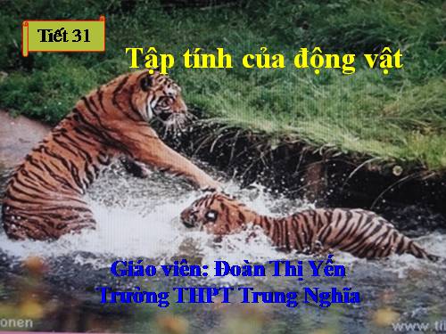 Bài 31. Tập tính của động vật