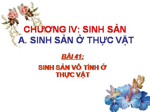 Bài 41. Sinh sản vô tính ở thực vật