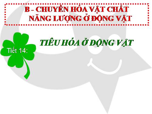 Bài 15. Tiêu hoá ở động vật