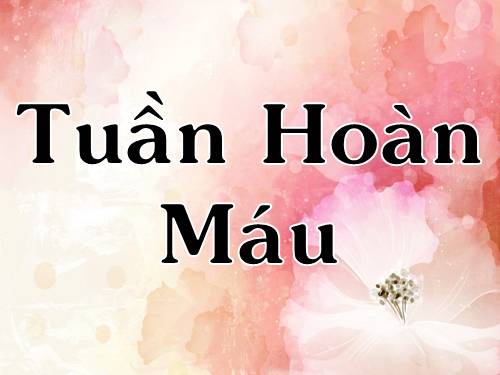 Bài 18. Tuần hoàn máu