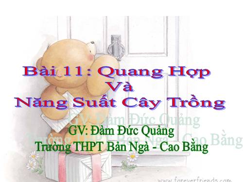 Bài 11. Quang hợp và năng suất cây trồng