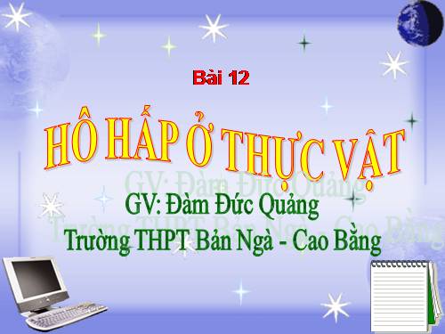 Bài 12. Hô hấp ở thực vật