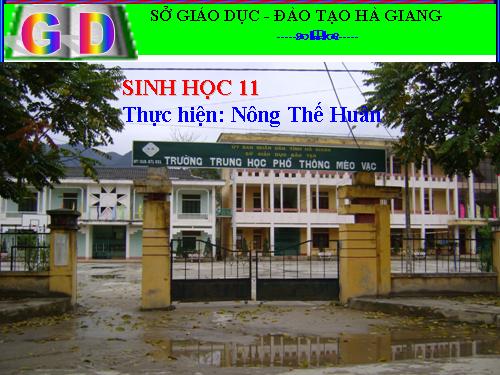 Bài 19. Tuần hoàn máu (tiếp theo)