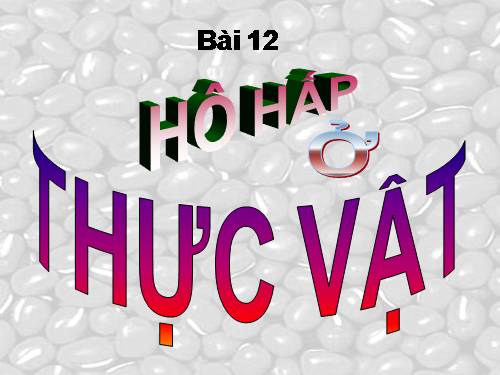 Bài 12. Hô hấp ở thực vật