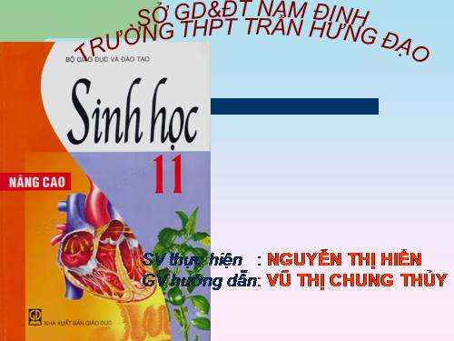 Bài 23. Hướng động