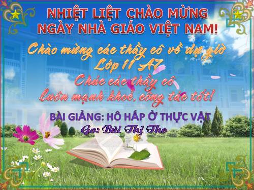 Bài 12. Hô hấp ở thực vật