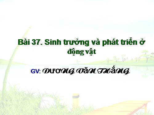 Bài 37. Sinh trưởng và phát triển ở động vật