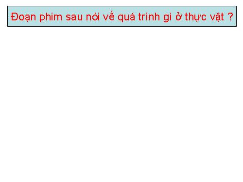 Bài 34. Sinh trưởng ở thực vật